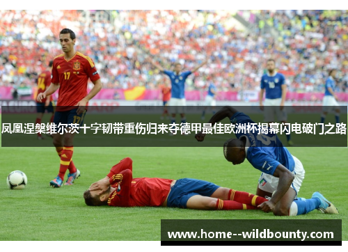 凤凰涅槃维尔茨十字韧带重伤归来夺德甲最佳欧洲杯揭幕闪电破门之路